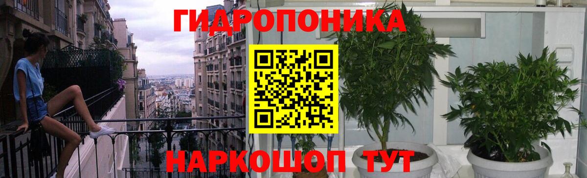 Марихуана конопля  Марихуана OG Kush  Звенигород  Шишки марихуана VHQ  Вход с VPN 